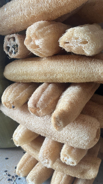 🌿 100% Natural Loofah Sponge