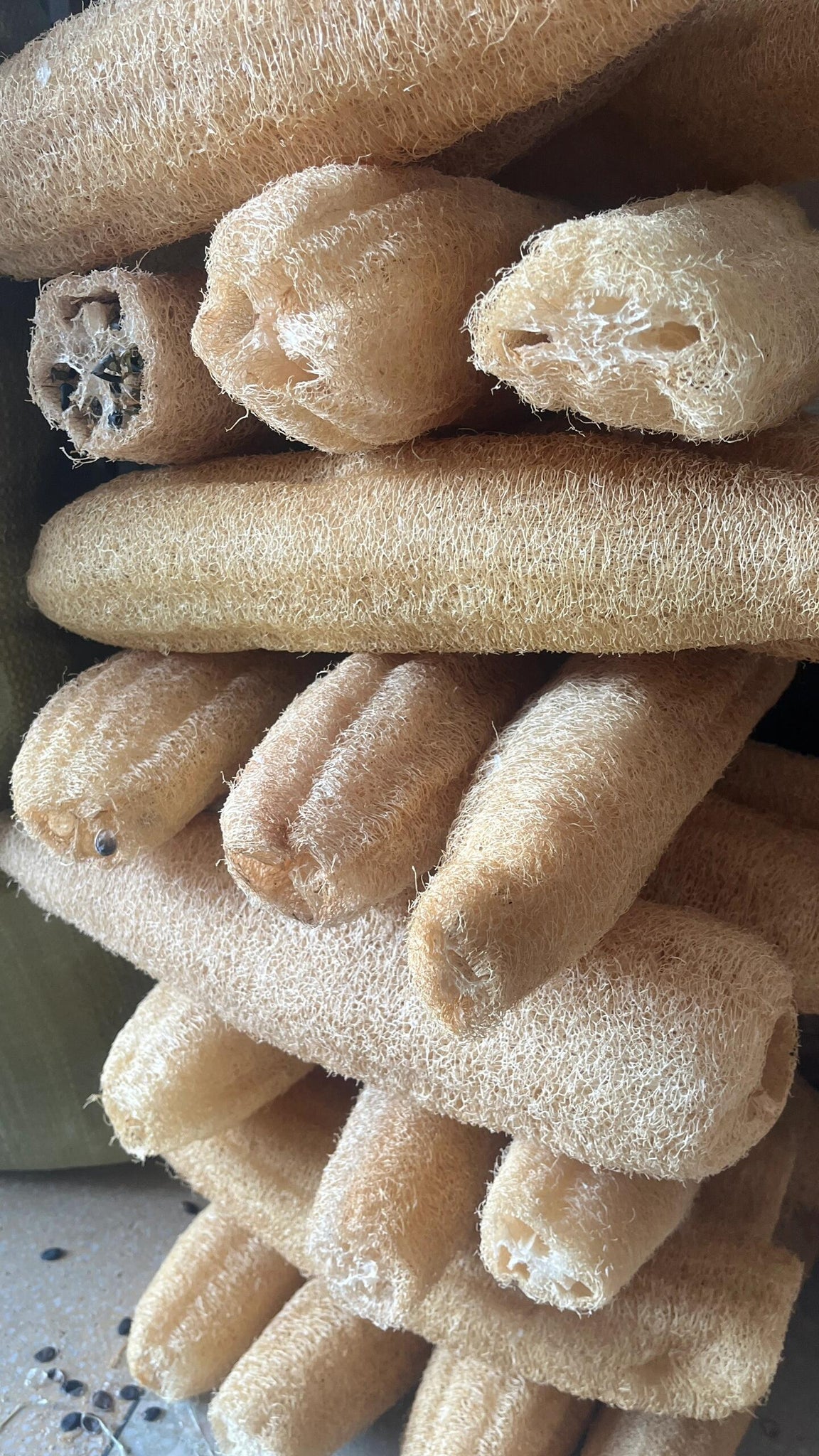 🌿 100% Natural Loofah Sponge